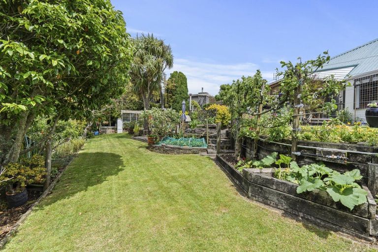 Photo of property in 13a Mangorei Road, Strandon, New Plymouth, 4312