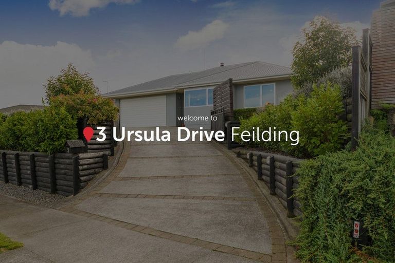 Photo of property in 3 Ursula Drive, Feilding, 4702