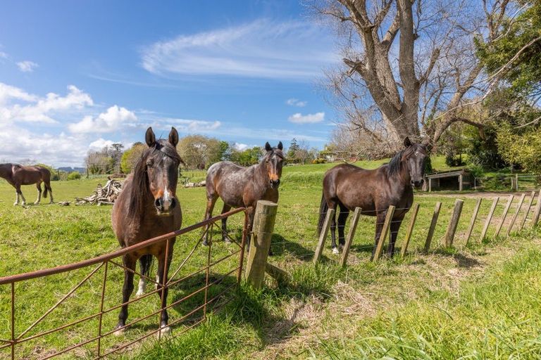 Photo of property in 33-37 Riverbank Road, Okoia, Whanganui, 4573