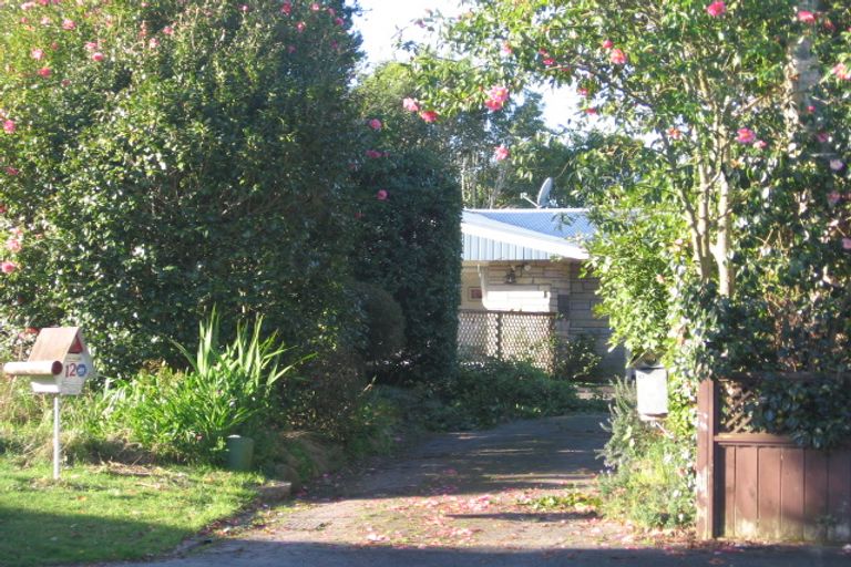 Photo of property in 10 Arthur Place, Chartwell, Hamilton, 3210