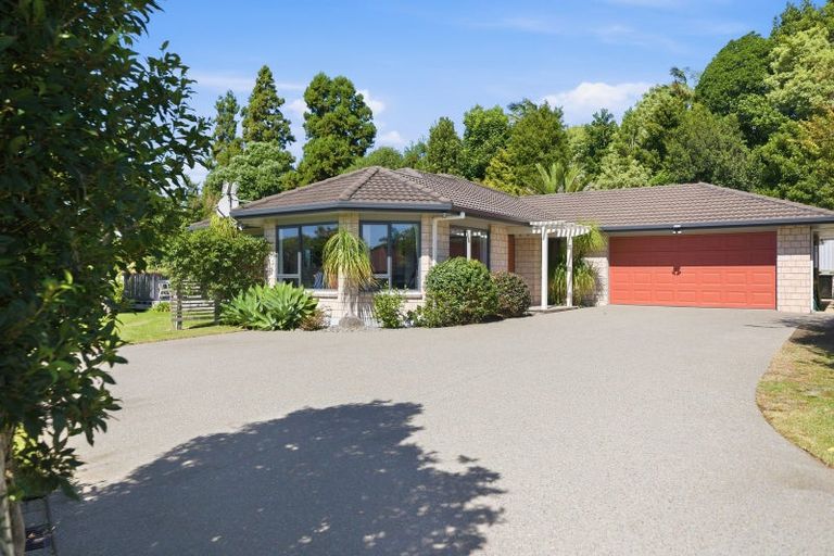 Photo of property in 15 Ashgrove Place, Ohauiti, Tauranga, 3112