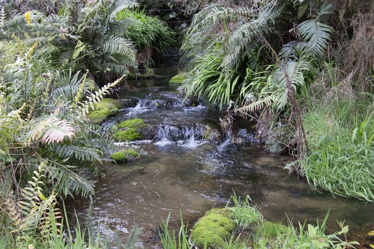 Photo of property in 68 Gamman Mill Road, Oropi, Tauranga, 3173