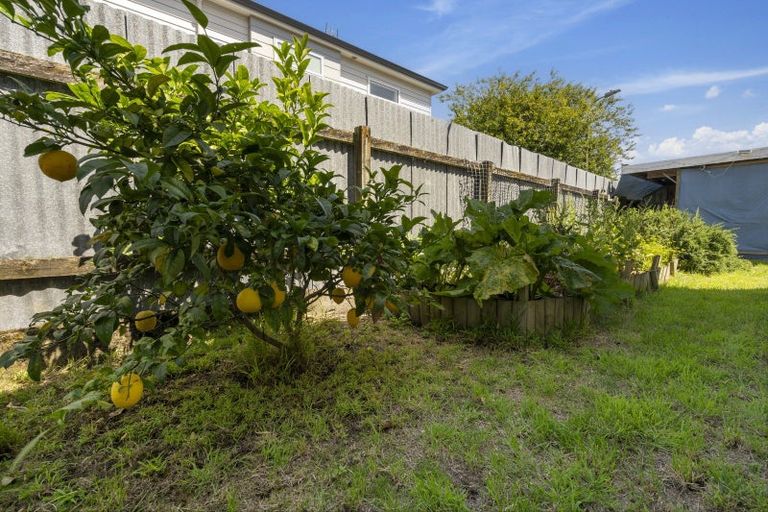 Photo of property in 801a Fergusson Drive, Elderslea, Upper Hutt, 5018