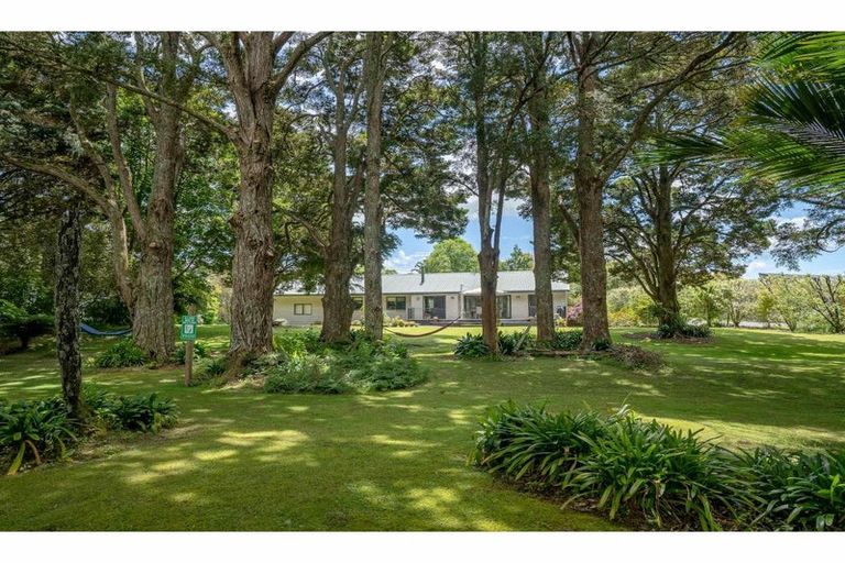 Photo of property in 231c Waipapa Road, Kerikeri, 0230