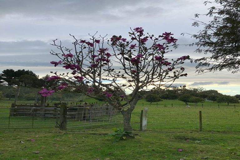 Photo of property in 3 West Beach Road, Mohaka, Wairoa, 4189