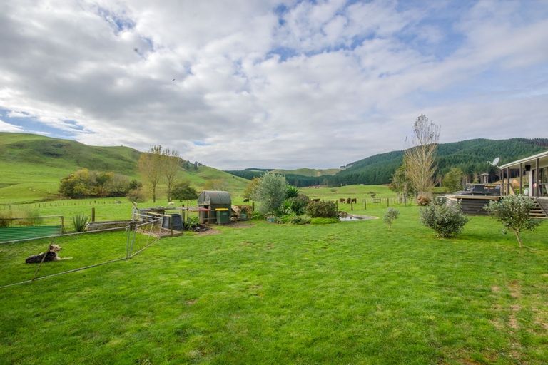 Photo of property in 199a Pond Road, Raglan, 3295