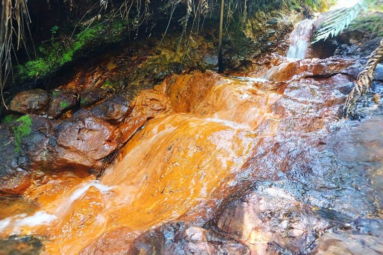 Photo of property in 9/11 Ocean View Road, Cable Bay, 0420