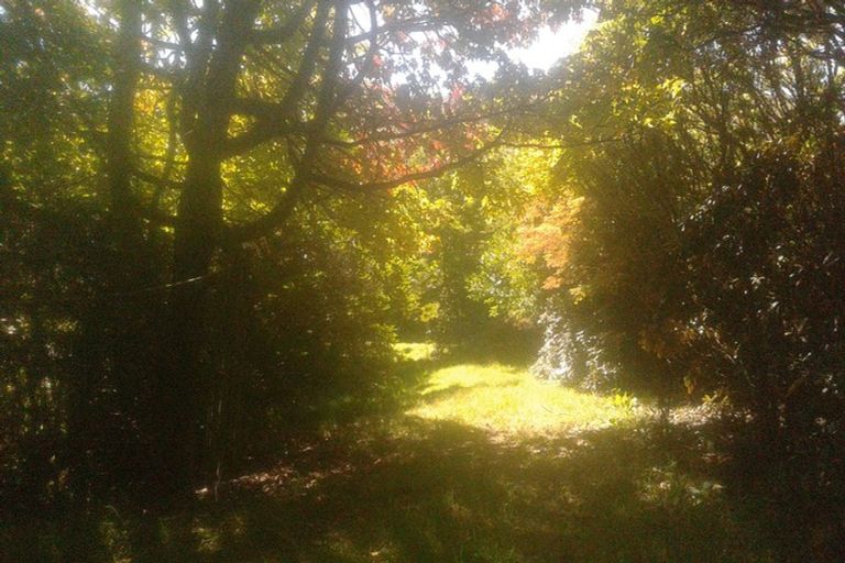 Photo of property in 116 Tauwharenikau Road, Tututawa, Stratford, 4392