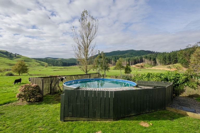 Photo of property in 199a Pond Road, Raglan, 3295