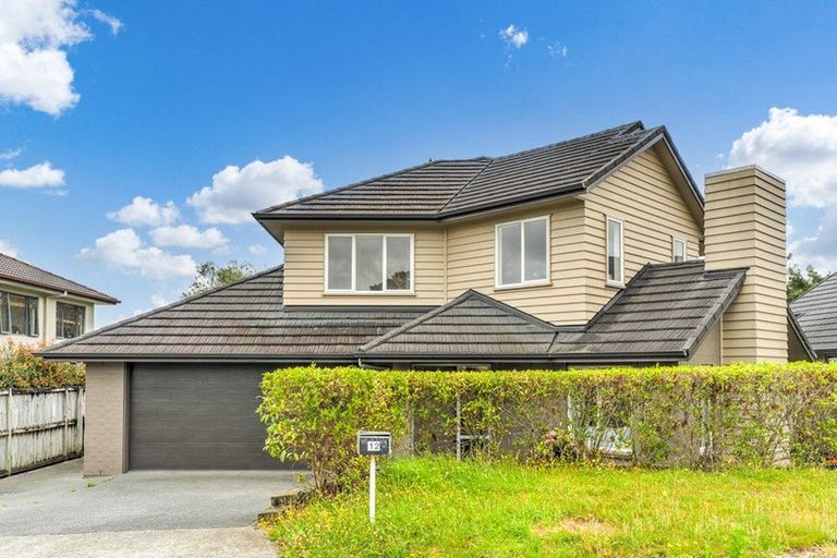 Photo of property in 12 Kouras Place, Flat Bush, Auckland, 2016