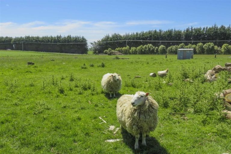 Photo of property in 35 Grove Bush Woodlands Road, Woodlands, Invercargill, 9871