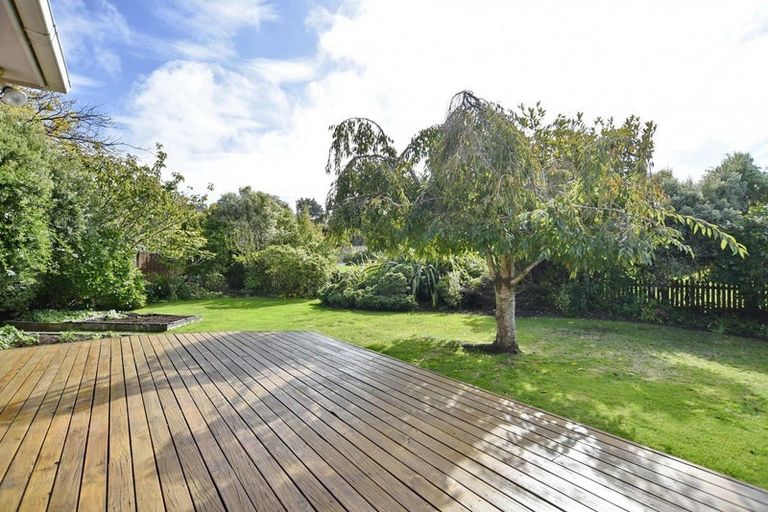 Photo of property in 50 Brabourne Street, Hillsborough, Christchurch, 8022