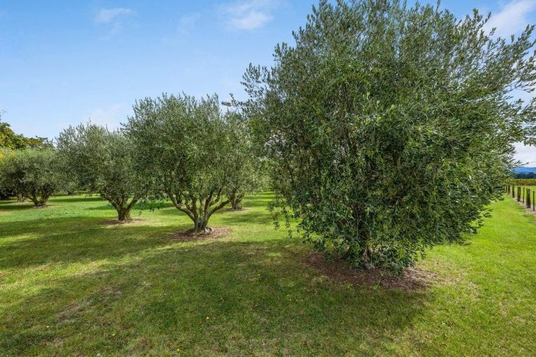 Photo of property in 447 Wairau Bar Road, Spring Creek, Blenheim, 7273