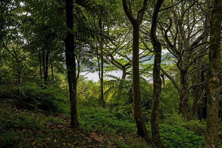 Photo of property in 231 Millar Road, Lake Okareka, Rotorua, 3076