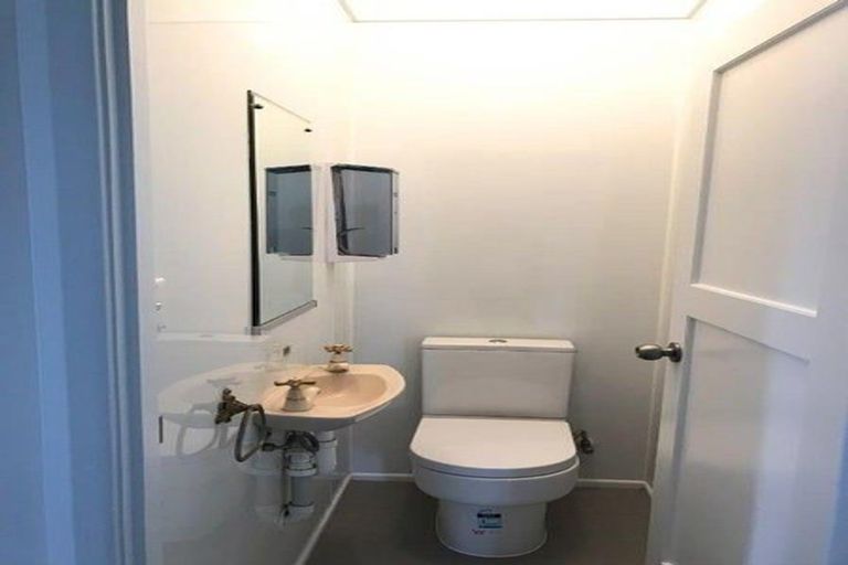 Photo of property in 22a Haig Avenue, Mount Roskill, Auckland, 1041