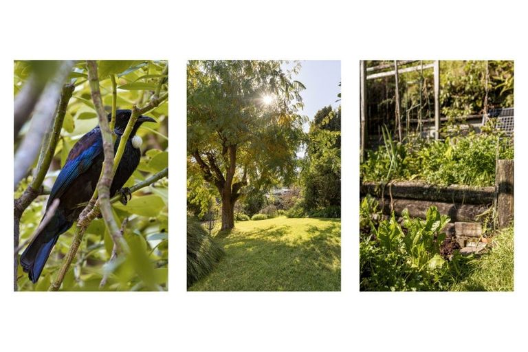 Photo of property in 54 Resolution Road, Welcome Bay, Tauranga, 3112