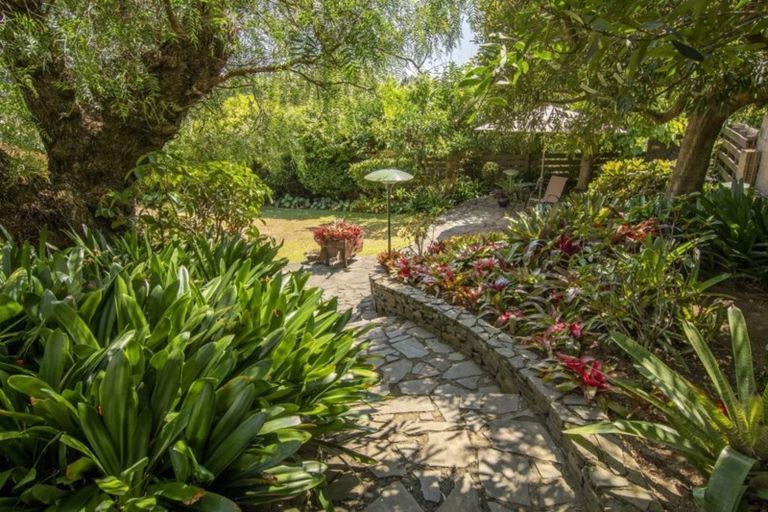 Photo of property in 25 Linklater Avenue, Bellevue, Tauranga, 3110