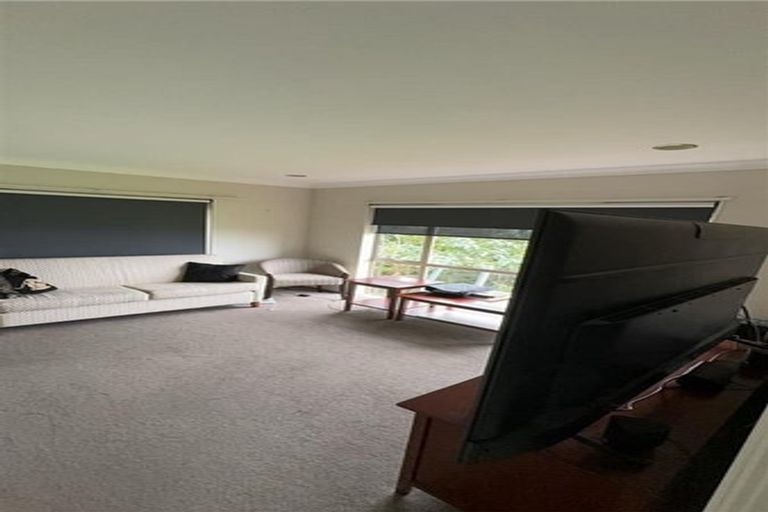 Photo of property in 20 Murphys Road, Flat Bush, Auckland, 2019