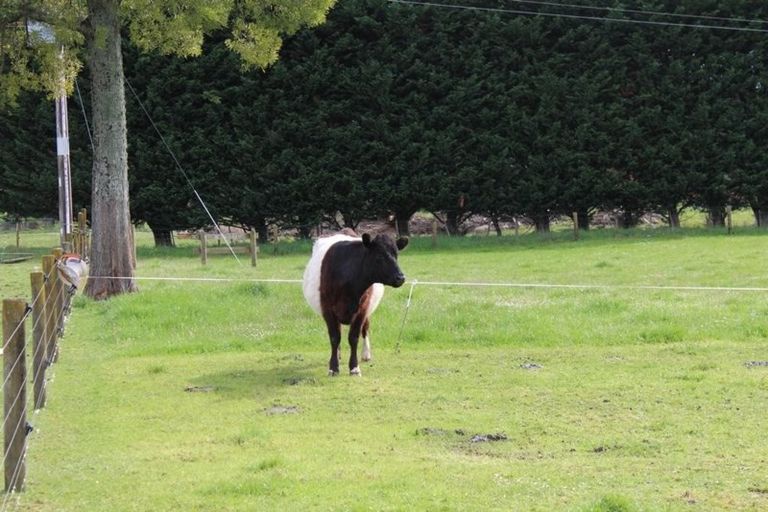Photo of property in 383 East Takaka Road, East Takaka, Takaka, 7183