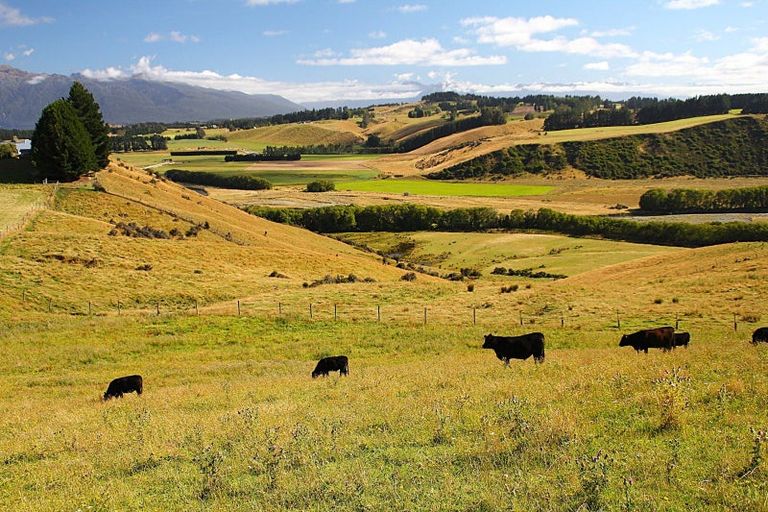 Photo of property in 93 Ridgedale Road, 9672