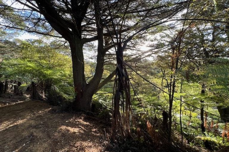 Photo of property in 211 Krippner Road, Puhoi, Warkworth, 0994