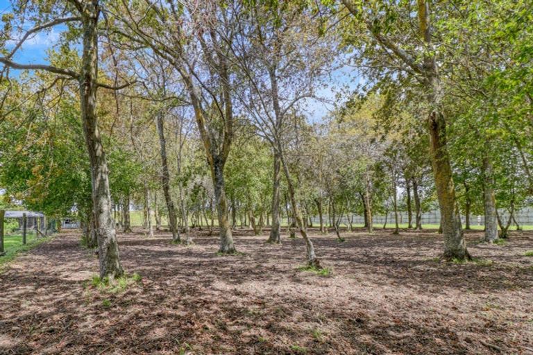 Photo of property in 8 Ingram Road, Waerengaahika, Gisborne, 4071