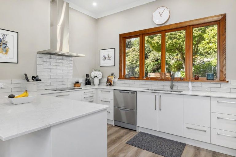 Photo of property in 14 Garfield Avenue, Roslyn, Dunedin, 9010