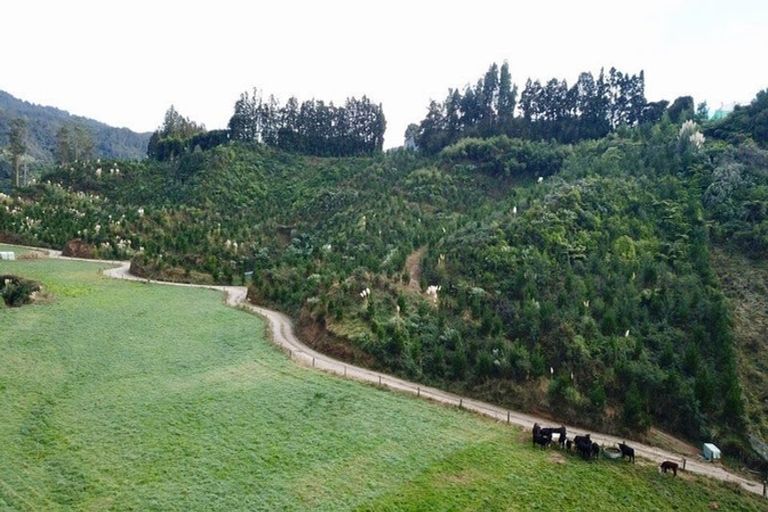 Photo of property in 429 Manoeka Road, Te Puke, 3183