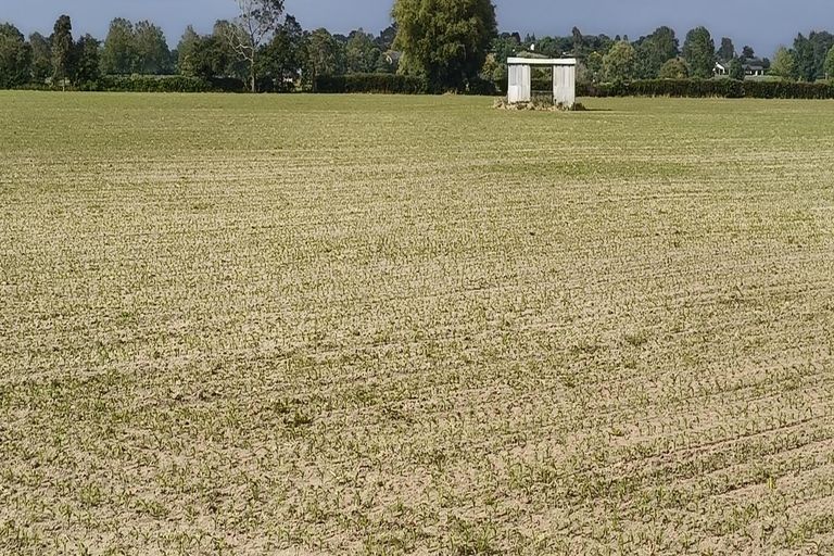 Photo of property in 53 Friedlander Road, Eureka, Hamilton, 3287