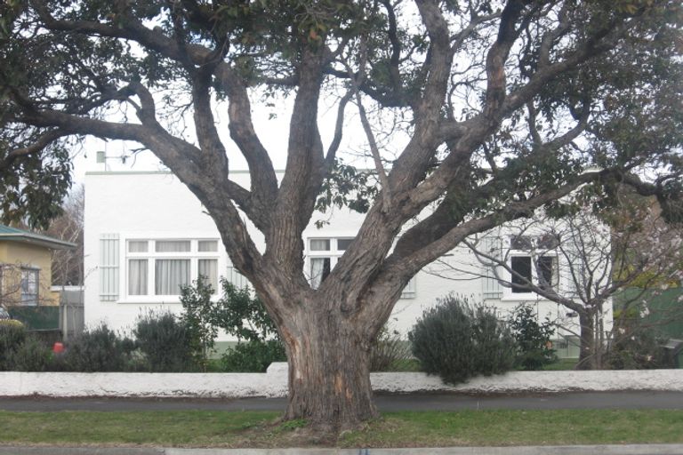 Photo of property in 62 Tom Parker Avenue, Marewa, Napier, 4110