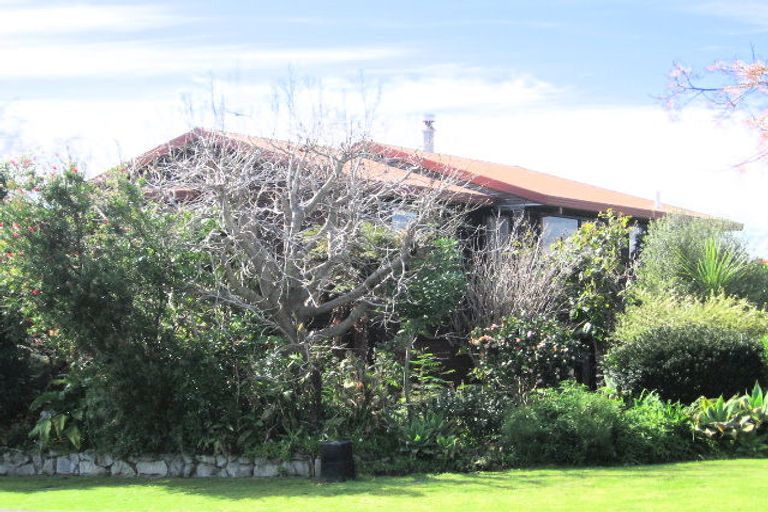 Photo of property in 17 Tainui Street, Matua, Tauranga, 3110