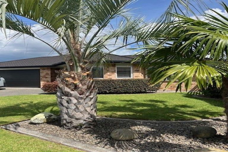 Photo of property in 73 Solomon Street, Brookfield, Tauranga, 3110