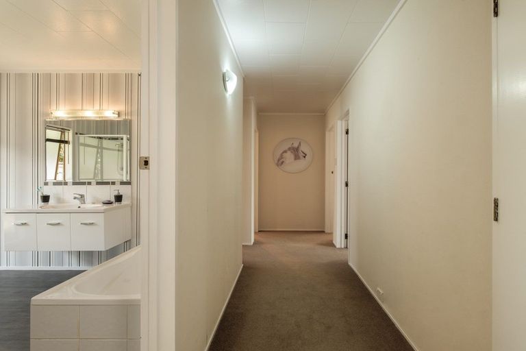 Photo of property in 24 Argyll Street, Mangapapa, Gisborne, 4010