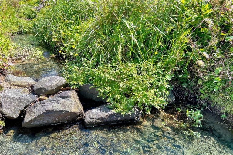 Photo of property in Otara Road East, Tirohanga, Opotiki, 3197