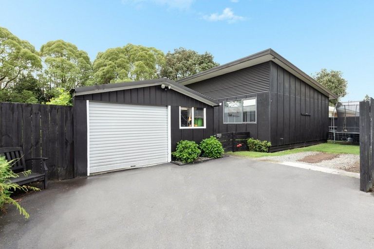Photo of property in 46b Hall Road, Matua, Tauranga, 3110