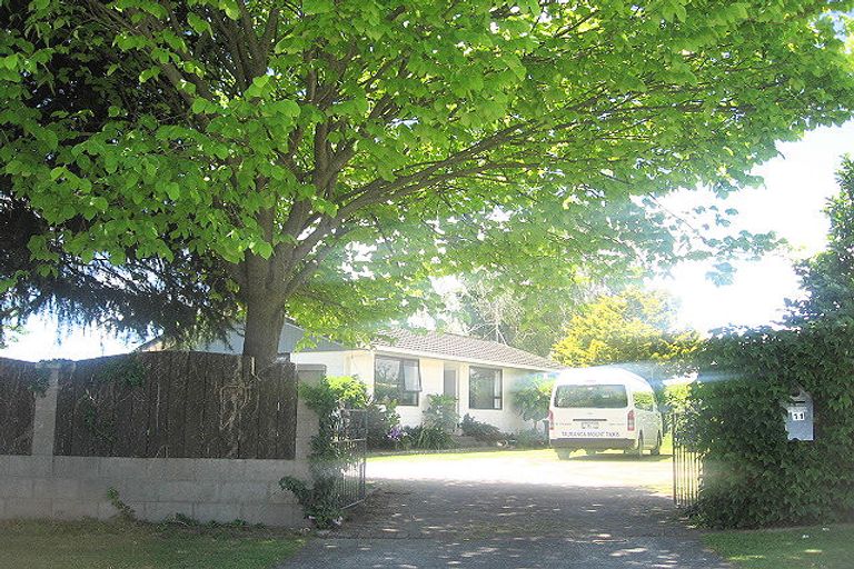 Photo of property in 11 George Street, Te Puke, 3119