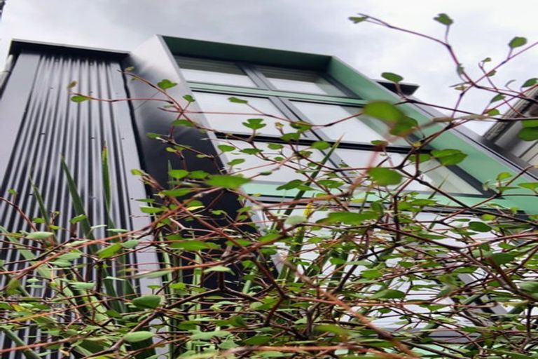 Photo of property in 108 Aro Street, Aro Valley, Wellington, 6021