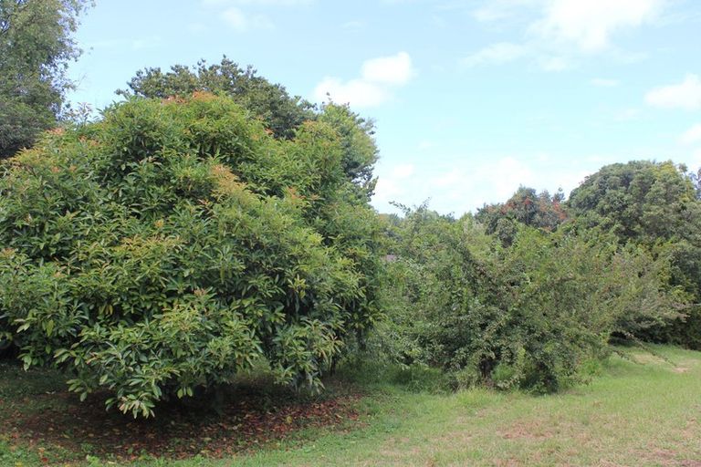 Photo of property in 81a Mcmillan Road, Tahawai, Katikati, 3170