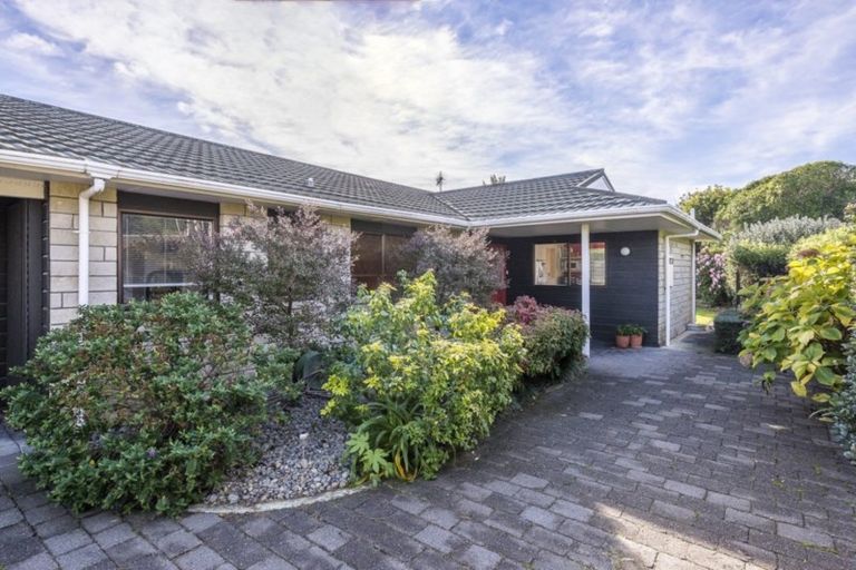 Photo of property in 55 Belvedere Avenue, Waikanae, 5036