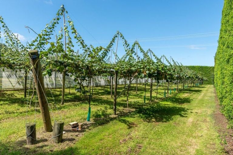 Photo of property in 154b Wairoa Road, Minden, Tauranga, 3171