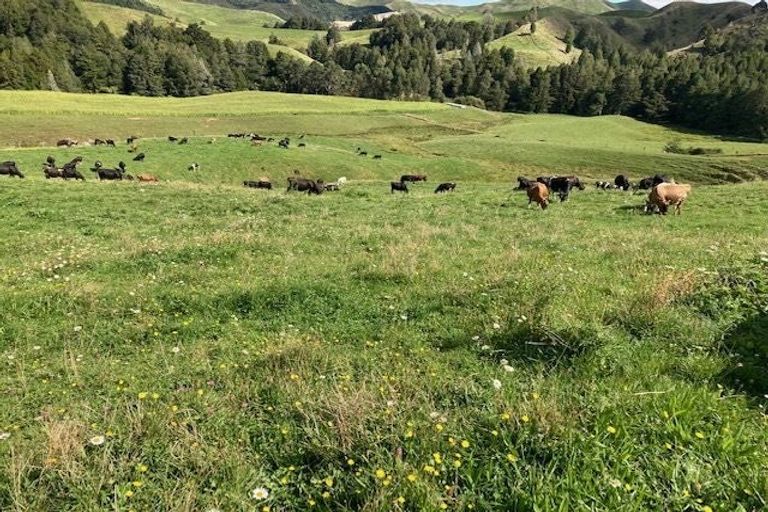 Photo of property in 755 Limeworks Loop Road, Karamu, Hamilton, 3285