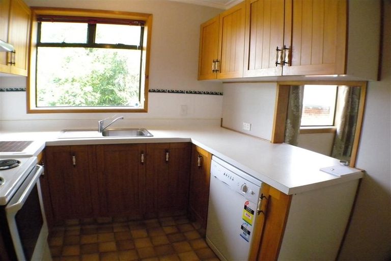 Photo of property in 78a Signal Hill Road, Opoho, Dunedin, 9010