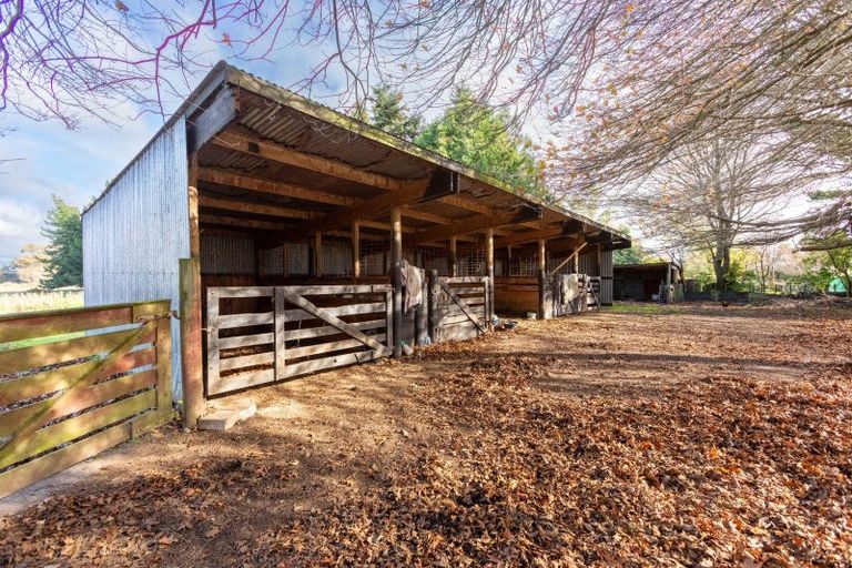 Photo of property in 156 Vogel Street, Woodville, 4920