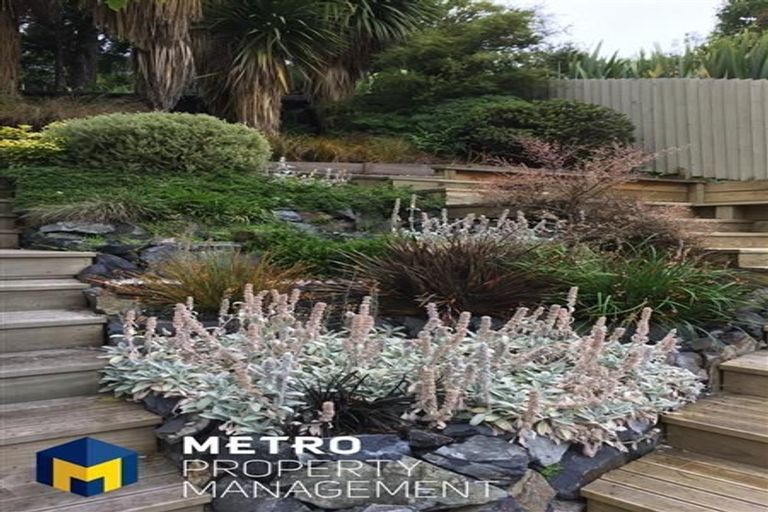 Photo of property in 40 Grey Street, North East Valley, Dunedin, 9010