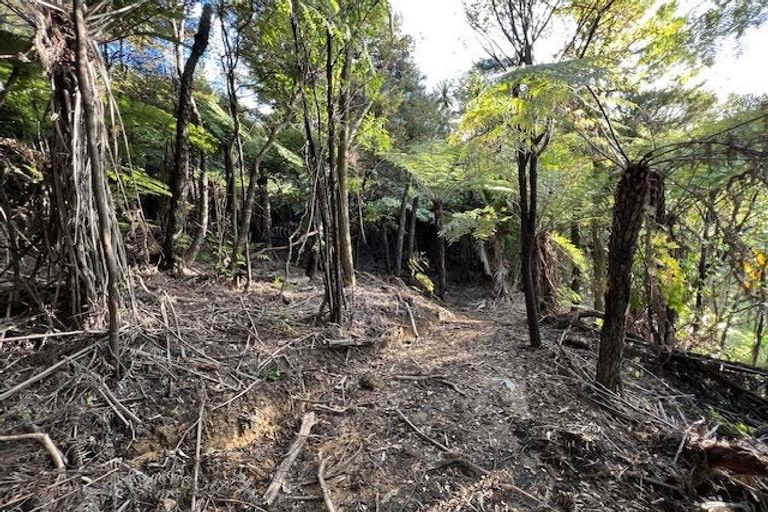 Photo of property in 211 Krippner Road, Puhoi, Warkworth, 0994