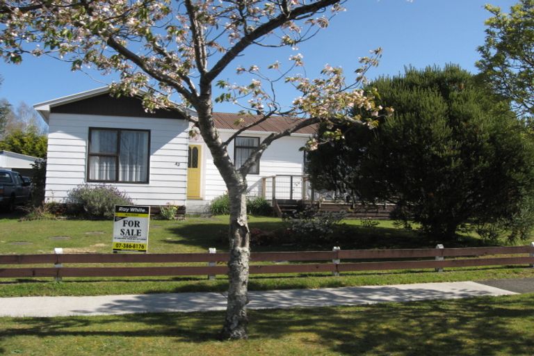 Photo of property in 42 Hinerangi Street, Turangi, 3334