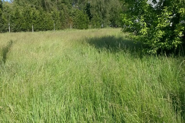 Photo of property in 15 Opihi Street, Fairlie, 7925