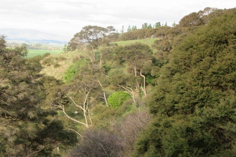 Photo of property in 74 Mangaone Road, Halcombe, Feilding, 4779