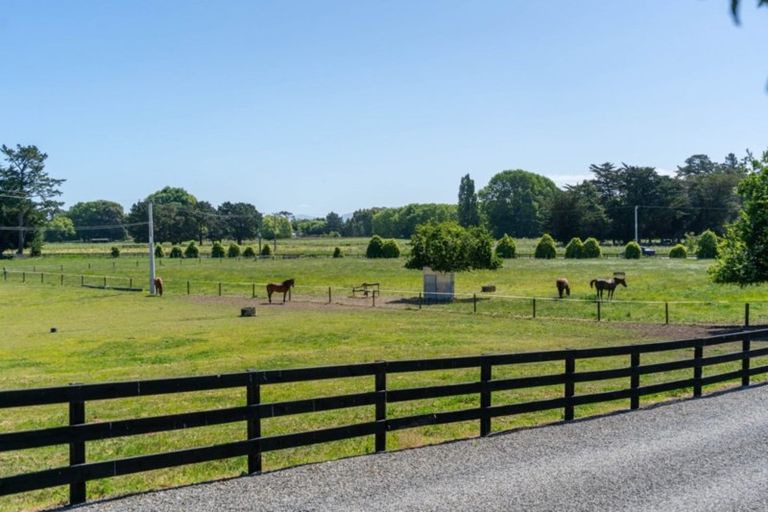 Photo of property in 269 Te Whiti Road, Homebush, Masterton, 5885