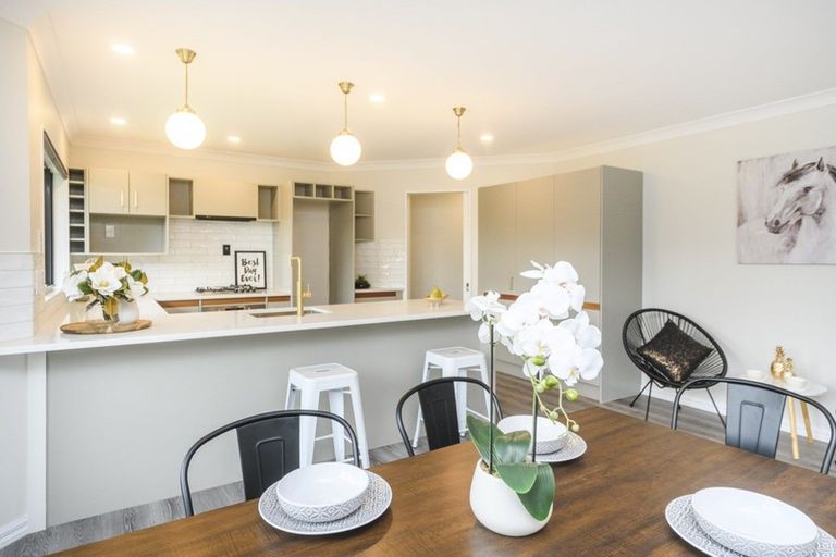 Photo of property in 411 Albert Street, Hokowhitu, Palmerston North, 4410